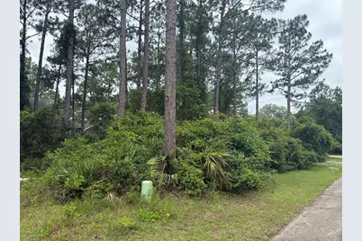 130 Skimmer Dr, Carrabelle, FL 32323 - Photo 6