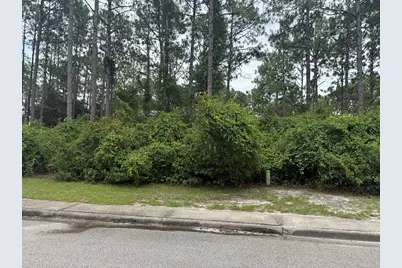 130 Skimmer Dr, Carrabelle, FL 32323 - Photo 4