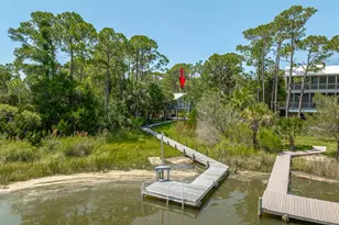 1223 Avocet Ln, Saint George Island, FL 32328 - Photo 14