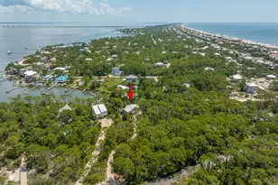 1223 Avocet Ln, Saint George Island, FL 32328 - Photo 12