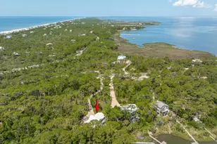 1223 Avocet Ln, Saint George Island, FL 32328 - Photo 10