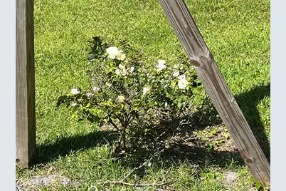 9 Apalachee St, Apalachicola, FL 32320 - Photo 32