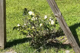 9 Apalachee St, Apalachicola, FL 32320 - Photo 32