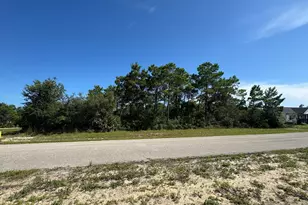 303 Hibiscus Ln, Eastpoint, FL 32328 - Photo 1