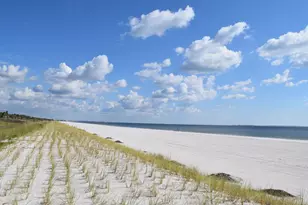 105 38th St, Mexico Beach, FL 32456 - Photo 22