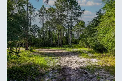 150 New River Ln, Carrabelle, FL 32322 - Photo 10
