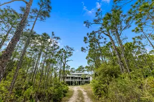 2039 Sand Dollar Trail, Saint George Island, FL 32328 - Photo 56