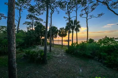 2039 Sand Dollar Trl, Saint George Island, FL 32328 - Photo 98