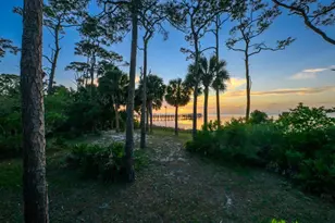 2039 Sand Dollar Trail, Saint George Island, FL 32328 - Photo 98