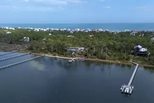 2039 Sand Dollar Trail, Saint George Island, FL 32328 - Photo 88