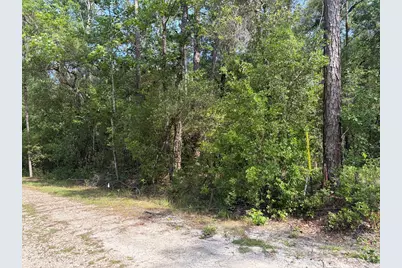 Lot 18 Pamela Pl, Sopchoppy, FL 32358 - Photo 4