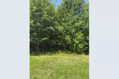 Lot 2 Oak Grove Ave, Port Saint Joe, FL 32456 - Photo 6