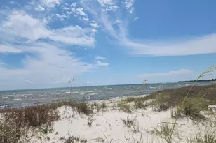 285 Marlin St, Port Saint Joe, FL 32456 - Photo 22