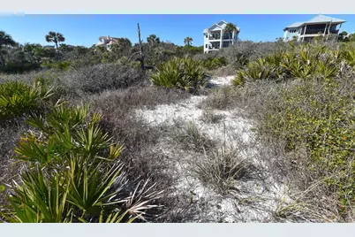 2116 Sea Fern Way, Saint George Island, FL 32328 - Photo 6