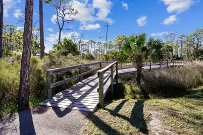 2116 Sea Fern Way, Saint George Island, FL 32328 - Photo 20