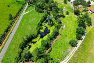 111 Bayberry Dr, Wewahitchka, FL 32465 - Photo 24