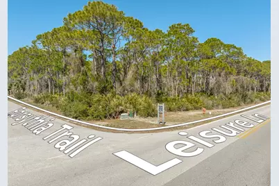 1601 Forsythia Trail, Saint George Island, FL 32328 - Photo 4