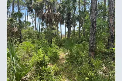 10432 Cr 30-A, Port Saint Joe, FL 32456 - Photo 8