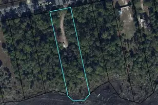 10432 Cr 30-A, Port Saint Joe, FL 32456 - Photo 1