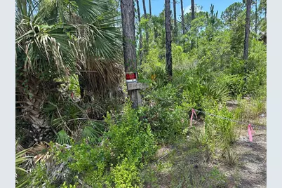 10432 Cr 30-A, Port Saint Joe, FL 32456 - Photo 10