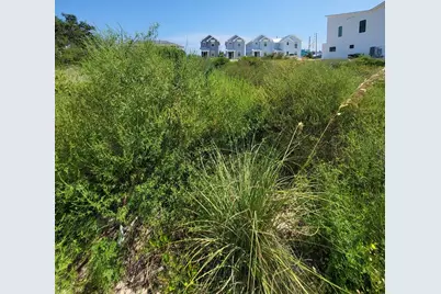 144 W Pine Ave, Saint George Island, FL 32328 - Photo 2