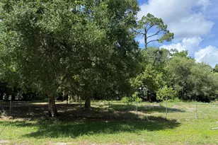1055 Cypress St, Apalachicola, FL 32320 - Photo 1
