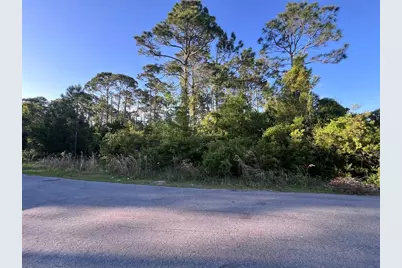 14 Stone Dr, Port Saint Joe, FL 32456 - Photo 2