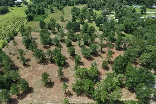0 Corn Griffin St, Wewahitchka, FL 32465 - Photo 1