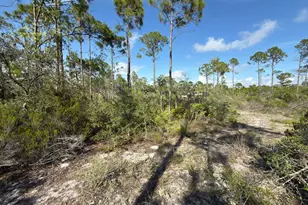 Lot A Adventure Ave, Port Saint Joe, FL 32456 - Photo 1