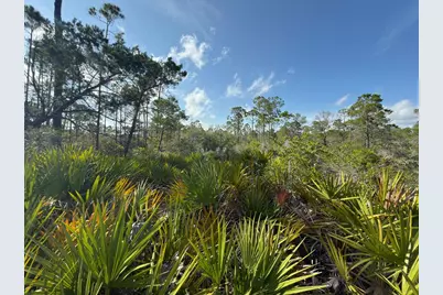 Lot A Adventure Ave, Port Saint Joe, FL 32456 - Photo 2