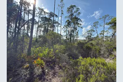 Lot A Adventure Ave, Port Saint Joe, FL 32456 - Photo 4