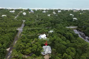 1667 Forsythia Trail, Saint George Island, FL 32328 - Photo 52