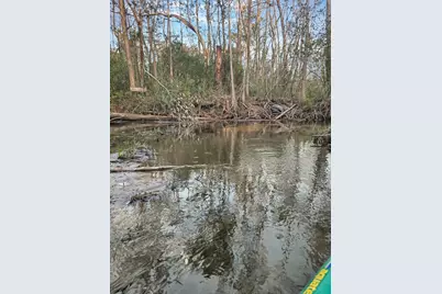 1350 Stone Mill Creek Rd, Wewahitchka, FL 32465 - Photo 22