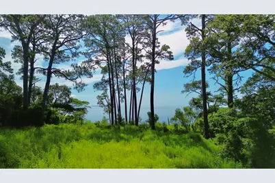 3206 Hwy 98 E, Carrabelle, FL 32323 - Photo 4