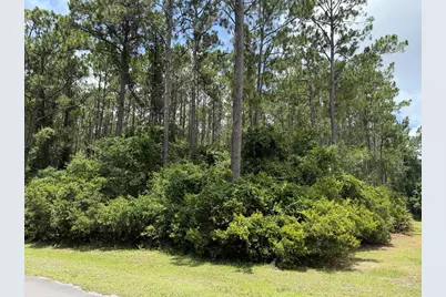 241 Boncycle Land Dr, Eastpoint, FL 32328 - Photo 1