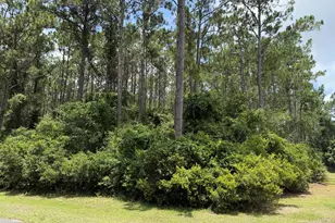 241 Boncycle Land Dr, Eastpoint, FL 32328 - Photo 1