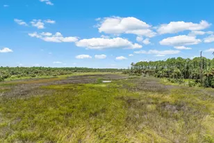 7355 Cr 30-A, Port Saint Joe, FL 32456 - Photo 42
