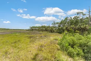 7355 Cr 30-A, Port Saint Joe, FL 32456 - Photo 58