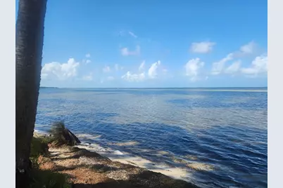 Lot 2 8th St, Port Saint Joe, FL 32456 - Photo 8