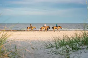 108 Sweetwater Shores Dr, Port Saint Joe, FL 32456 - Photo 50