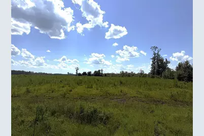 Lot 2 Hwy 71 S, Wewahitchka, FL 32465 - Photo 1