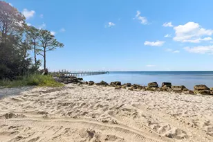 1033 E Pine Ave, Saint George Island, FL 32328 - Photo 66