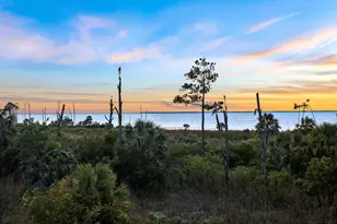 1033 E Pine Ave, Saint George Island, FL 32328 - Photo 12