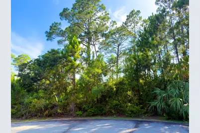 Lot 14 Sweet Bay Ln, Port Saint Joe, FL 32456 - Photo 4