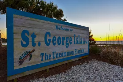 1032 W Gulf Beach Dr, Saint George Island, FL 32328 - Photo 12