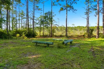 1 Lunsford Ln, Eastpoint, FL 32328 - Photo 48