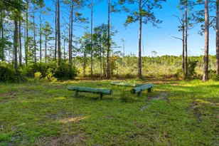 1 Lunsford Ln, Eastpoint, FL 32328 - Photo 48