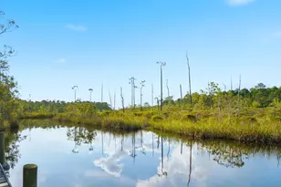 1901 Hwy 65, Eastpoint, FL 32328 - Photo 1
