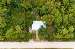 825 W Pine Ave, Saint George Island, FL 32328 - Photo 32
