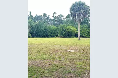 Lot 4 Oak Grove Ave, Port Saint Joe, FL 32456 - Photo 1